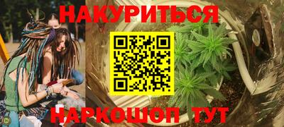 индика Будённовск