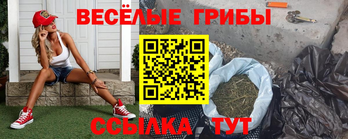 Галлюциногенные грибы Magic Shrooms  Вход с VPN  Южноуральск  Галлюциногенные грибы Psilocybine cubensis 
